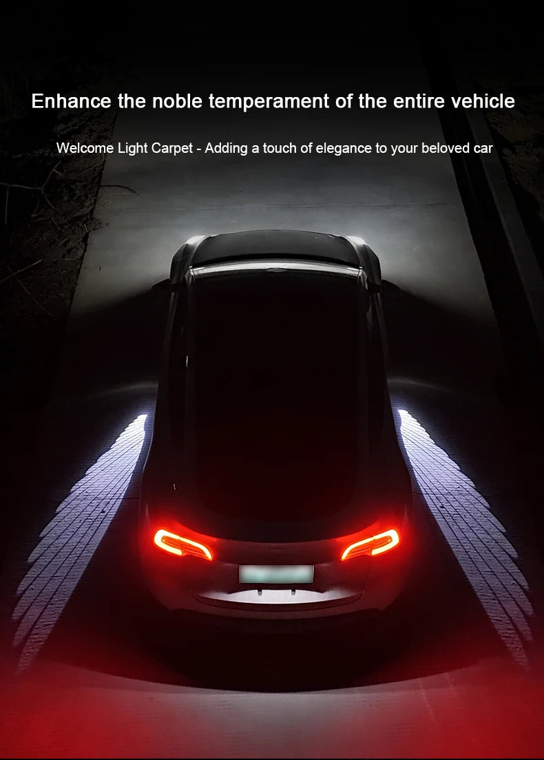 Lumière LED ailes d'ange pour voiture